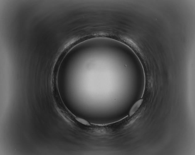 X0000087750439200705071116