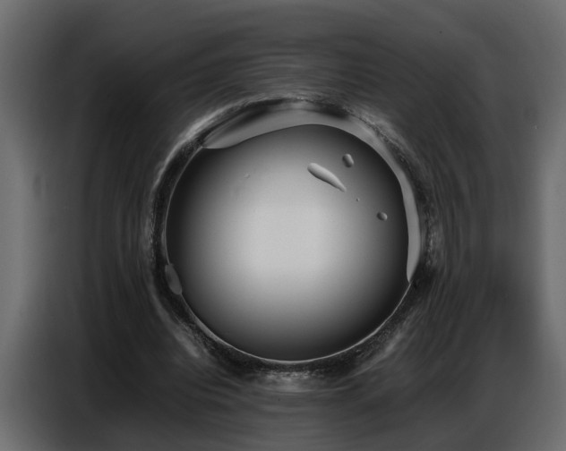 X0000087750440200705071116