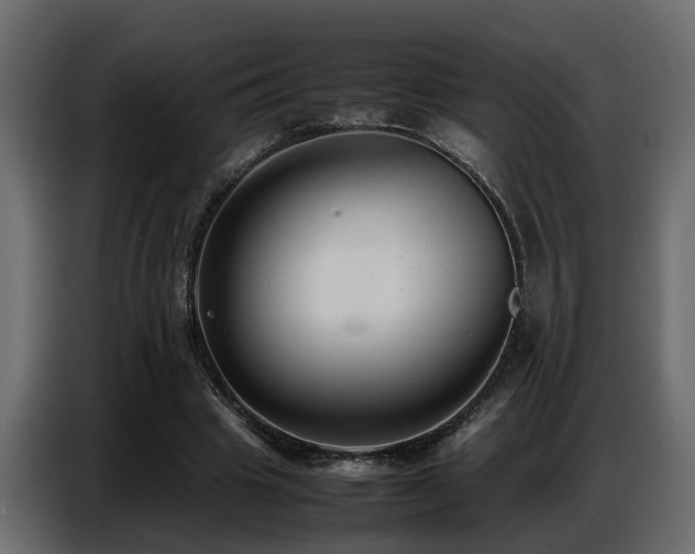 X0000087750441200705071116
