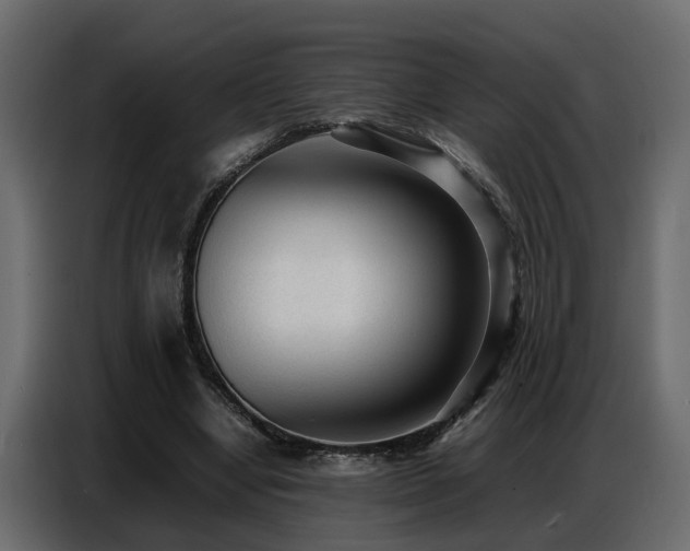 X0000087750442200705071116