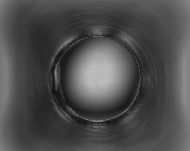 X0000087750443200705071116