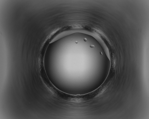 X0000087750444200705071116