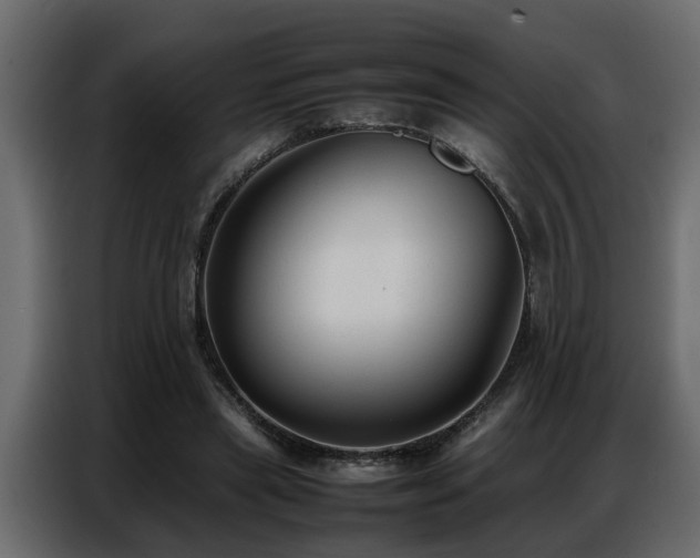 X0000087750445200705071116