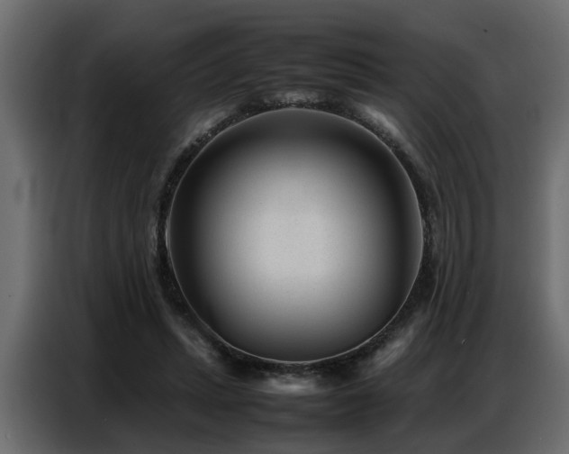 X0000087750447200705071116