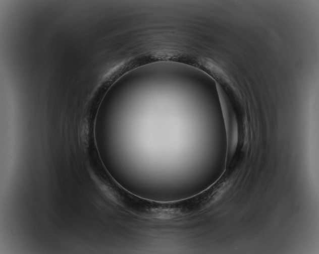 X0000087750448200705071116