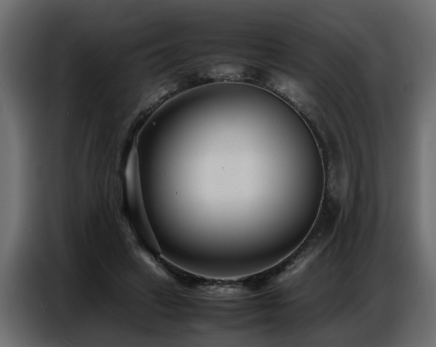 X0000087750449200705071116
