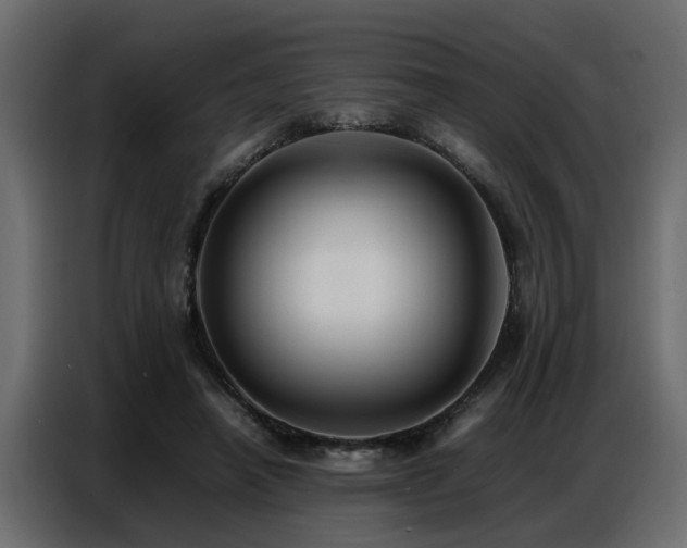 X0000087750450200705071116