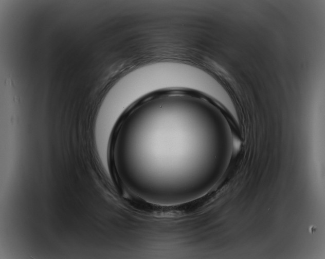 X0000087750452200705071116