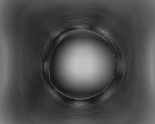 X0000087750453200705071116