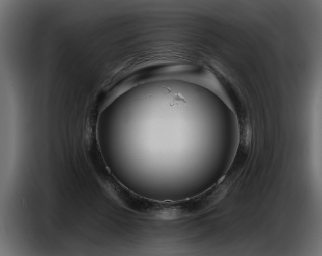 X0000087750456200705071116