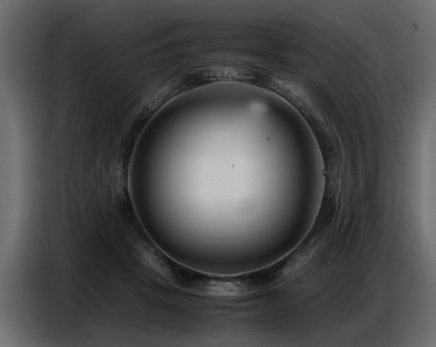 X0000087750457200705071116