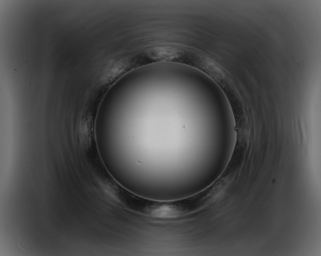 X0000087750460200705071116