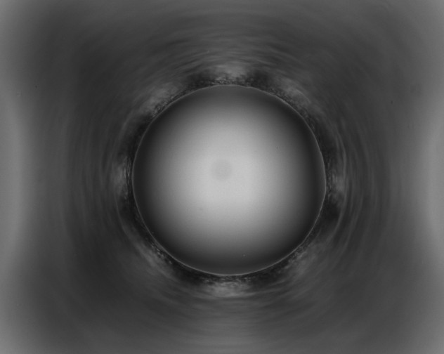 X0000087750468200705071117