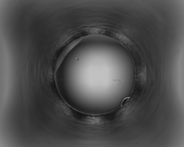 X0000087750469200705071117