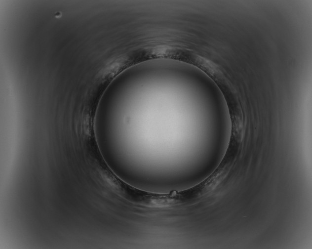 X0000087750470200705071117
