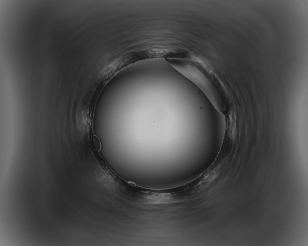 X0000087750476200705071117