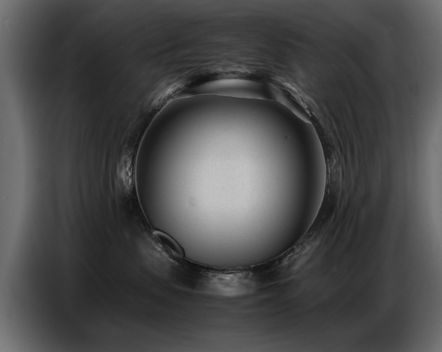 X0000087750479200705071117