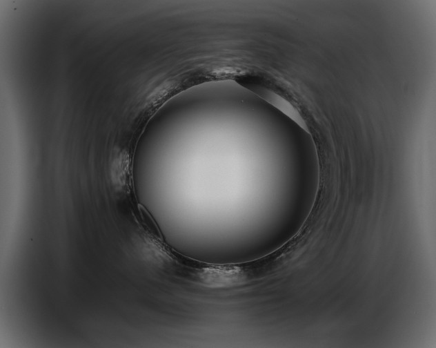 X0000087750480200705071117