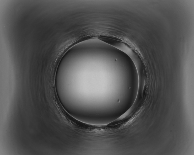 X0000087750481200705071116
