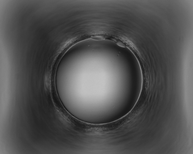 X0000087750482200705071116