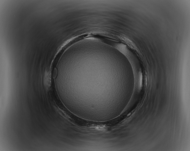 X0000087750484200705071116