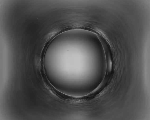 X0000087750485200705071116