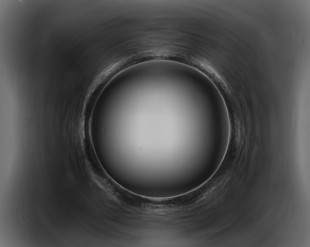 X0000087750486200705071116