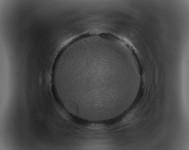 X0000087750487200705071116