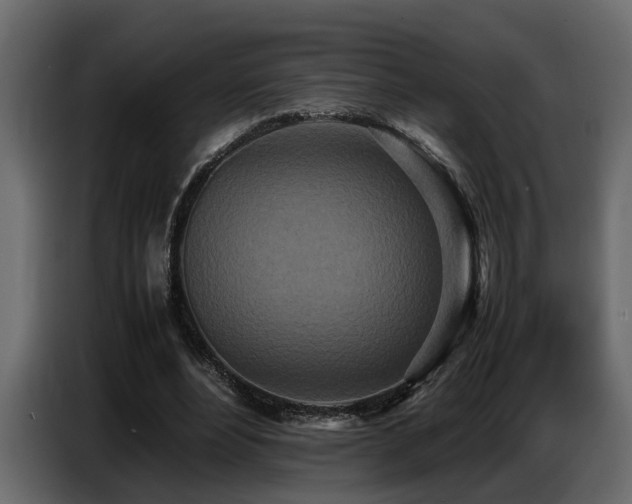 X0000087750488200705071116
