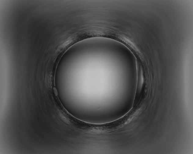 X0000087750489200705071116