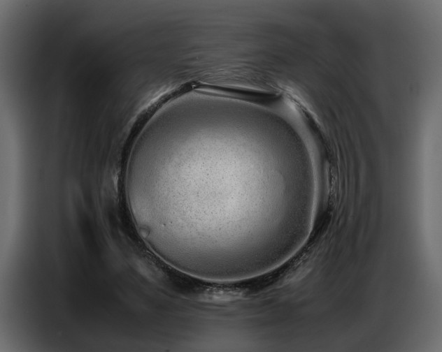 X0000087750491200705071116