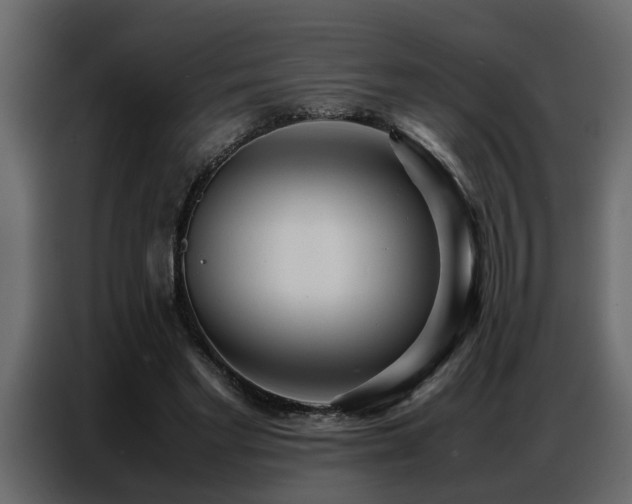 X0000087750493200705071116