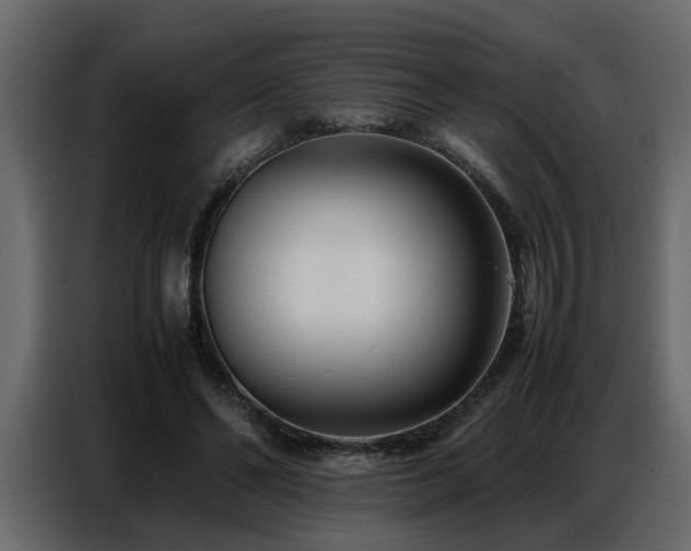 X0000087750494200705071116