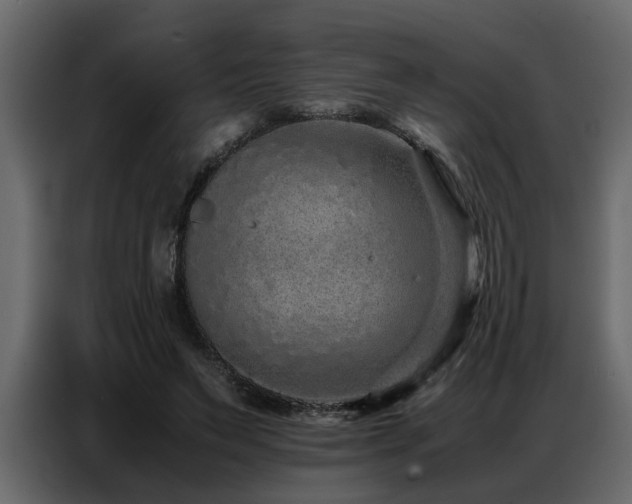 X0000087750495200705071116