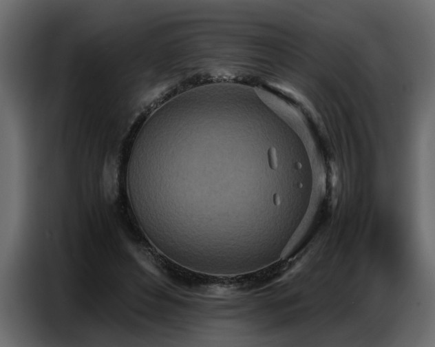 X0000087750496200705071116