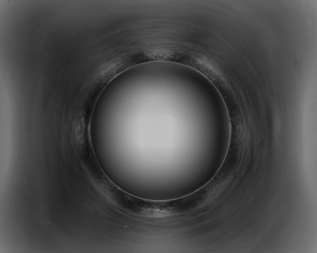 X0000087750498200705071116