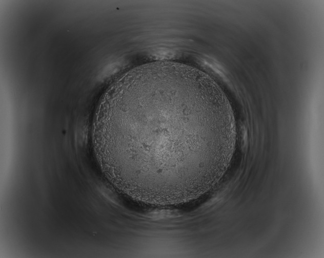 X0000087750499200705071116