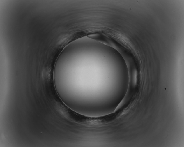 X0000087750501200705071116