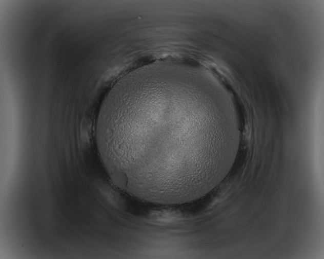 X0000087750503200705071116