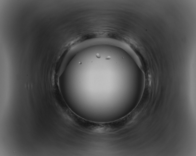 X0000087750504200705071116