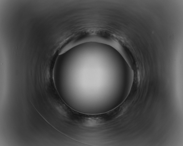 X0000087750508200705071116