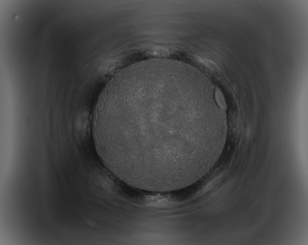 X0000087750511200705071116