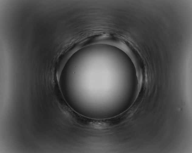 X0000087750512200705071116