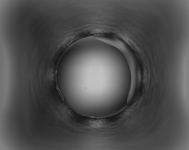 X0000087750513200705071116