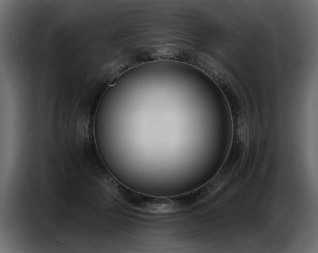 X0000087750514200705071116