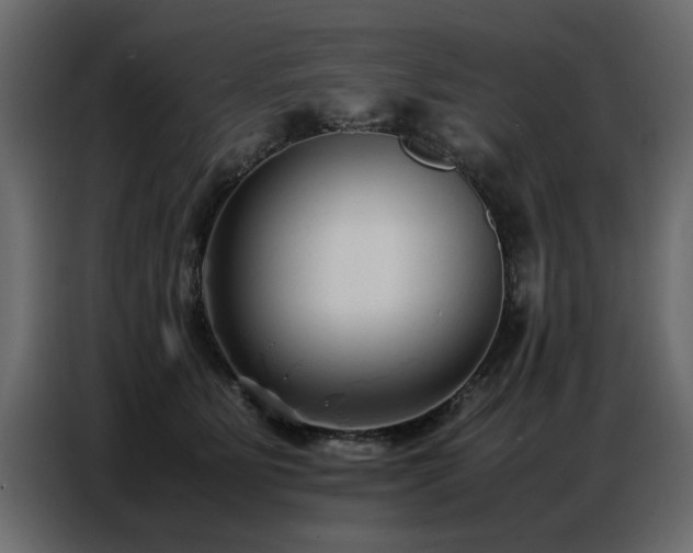 X0000087750515200705071116