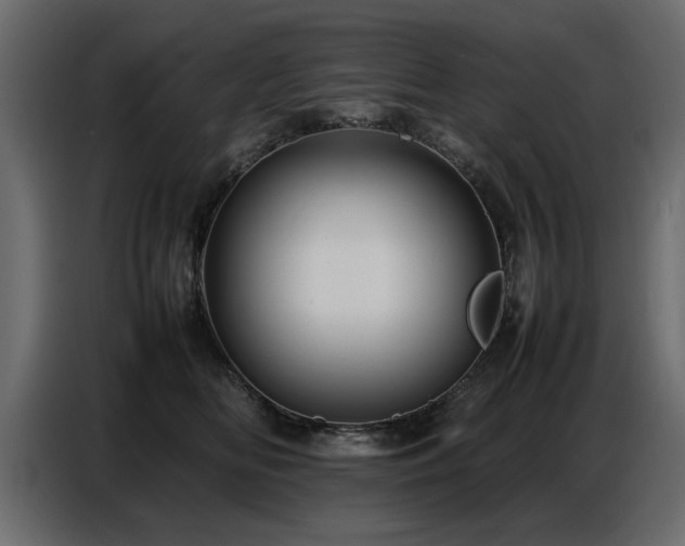 X0000087750518200705071116