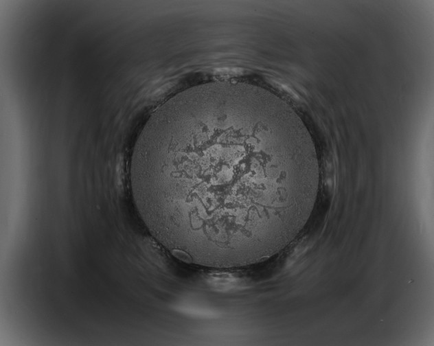 X0000087750519200705071116