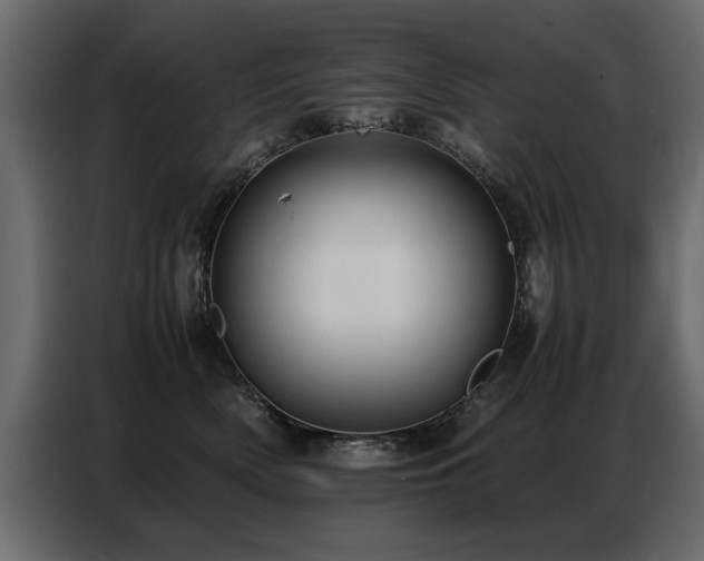 X0000087750522200705071116