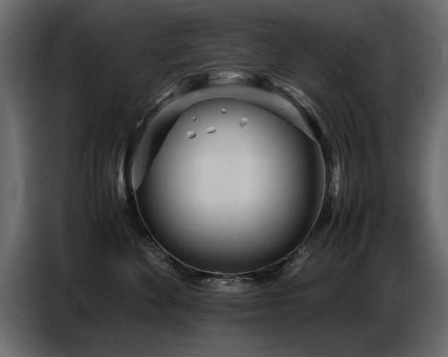 X0000087750524200705071115